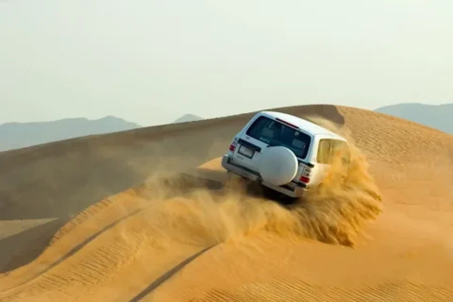 Desert Safari with Dinner and Live Shows