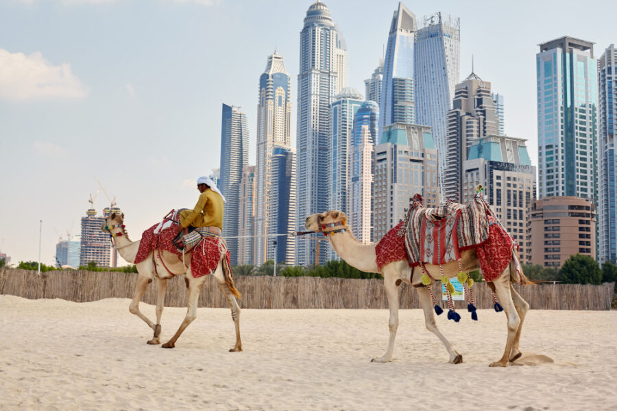 Dubai package Trip