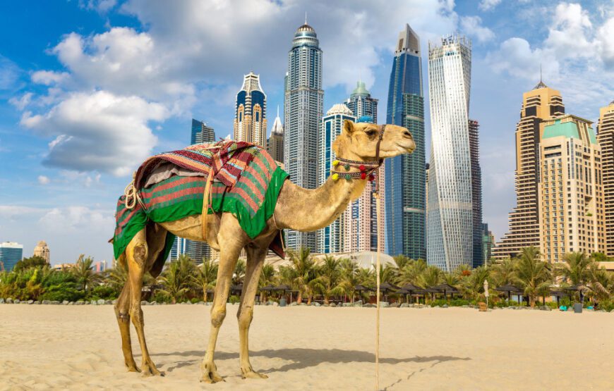 Dubai Trip Itinerary