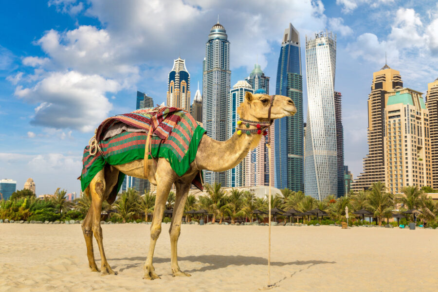 Dubai Trip Itinerary
